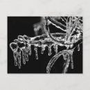 Search for icicles postcards Abstract