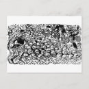 Search for calavera postcards Vintage
