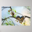 Search for wildlife photography posters Birds of prey