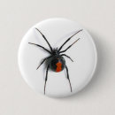Search for black spider accessories Widow