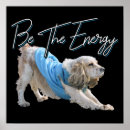 Search for dog trainer posters Exercise