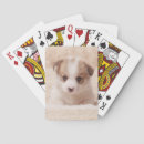 Search for corgi playing cards Queen elizabeth's