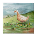 Recherche de oies carreaux Faune