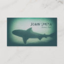 Search for shark business cards Underwater