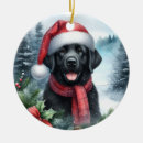 Search for red lab ornaments Dog