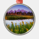 Recherche de snake ornements Gamme de teton