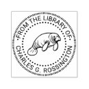 Search for sea cow manatee Animals