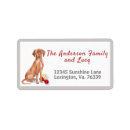 Search for vizsla return address labels Pet
