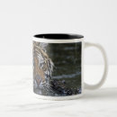 Search for siberian tiger mugs Animals in the wild