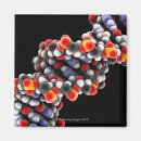 Search for molecular magnets Biology