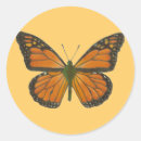 Search for orange butterfly stickers Garden