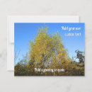 Search for colored leaf postcards Autumn