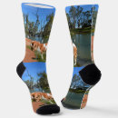 Search for spaniel socks Cavalier