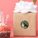 Search for christmas kitten stickers Animal