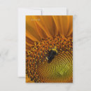 Recherche de bumble bee Parti