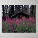 Recherche de yukon posters Cabine