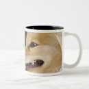 Recherche de mélange tasses Chien