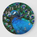 Recherche de plumes de paon horloges Oiseaux