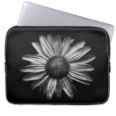 Search for curved photography Pattern
