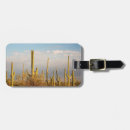 Search for desolate accessories Environment