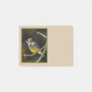 Search for cedar Waxwing