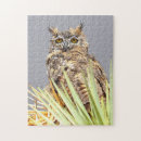 Recherche de rapace Hibou