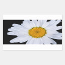 Search for offer stickers White