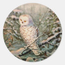 Recherche de oiseau de noël autocollants Chouette