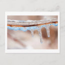 Search for icicles postcards Nature