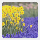 Search for keukenhof Design