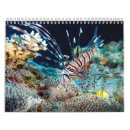 Search for fish calendars Marine