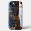 Search for colorado ipad cases America
