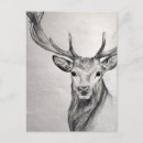 Recherche de dessin crayon cartes postales Blanc