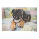 Search for bulldog pillowcases Purebred dog