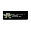 Search for magnolia return address labels White flower