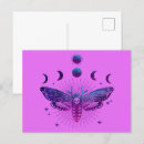 Recherche de tête morte cartes postales Insecte