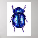 Search for beetle bug posters Watercolor