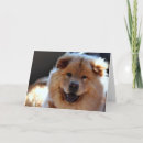 Recherche de bouffe vœux cartes Chien