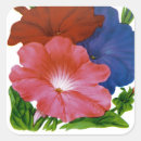 Search for petunia stickers Vintage