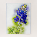 Search for texas bluebonnet Blue flowers