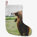 Recherche de bétail chaussette de noël Paysage
