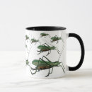Search for green grasshopper mugs Cricket