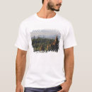 Search for sus clothing Forest