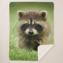 Search for raccoon blankets Adorable