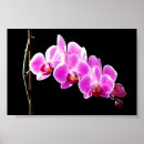 Recherche de grün posters Blüte