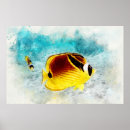 Search for tropical fish posters Blue