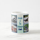 Search for galapagos mugs Turtle