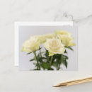 Recherche de roses blanches cartes postales Fleurs