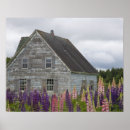 Search for north island posters Landscape