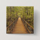Search for rainforest buttons Outdoors